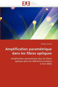bokomslag Amplification Param trique Dans Les Fibres Optiques