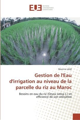 Gestion de l''eau d''irrigation au niveau de la parcelle du riz au maroc 1