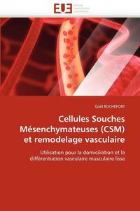 bokomslag Cellules Souches M senchymateuses (Csm) Et Remodelage Vasculaire