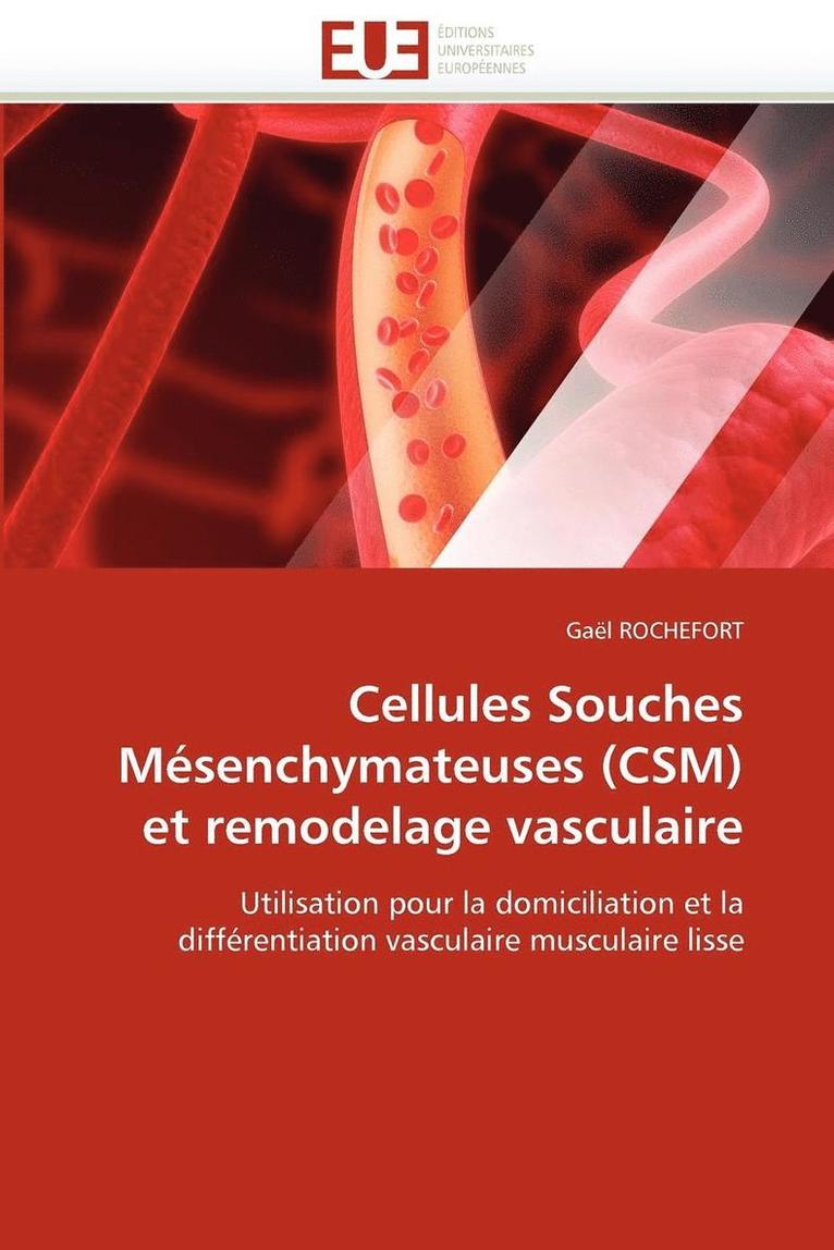Cellules Souches M senchymateuses (Csm) Et Remodelage Vasculaire 1
