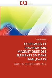 bokomslag Couplages Et Polarisation Magnetiques Des Elements 3D Dans R(mn, Fe)12x