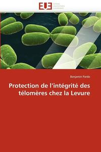 bokomslag Protection de l''intégrité des télomères chez la levure
