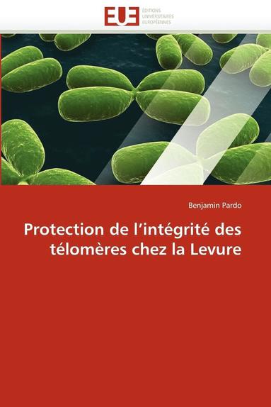 bokomslag Protection de l''int grit  Des T lom res Chez La Levure