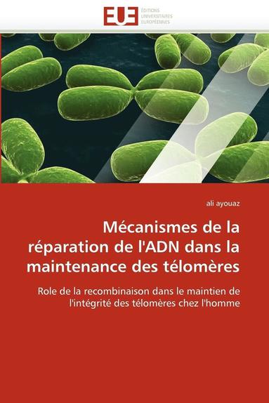 bokomslag M?canismes de la R?paration de l''adn Dans La Maintenance Des T?lom?res