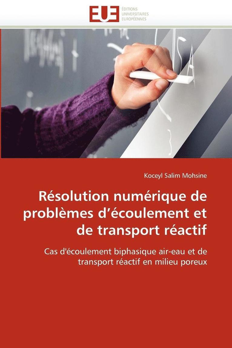 Salim Mohsine-K, SALIM MOHSINE-K, Koceyl Salim Mohsine - R�solution Num�rique de Probl�mes d''�coulement Et de Transport R�actif, Häftad
