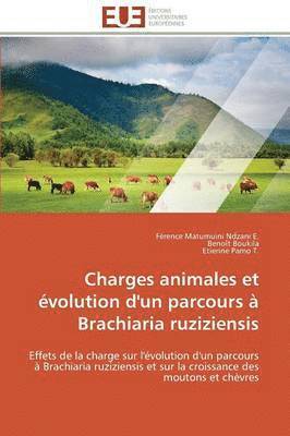 Charges Animales Et  volution d'Un Parcours   Brachiaria Ruziziensis 1