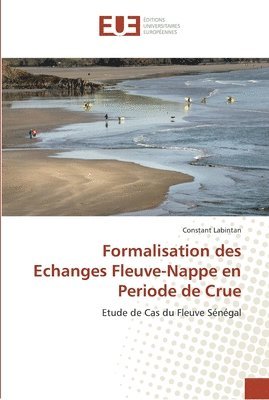 bokomslag Formalisation des echanges fleuve-nappe en periode de crue