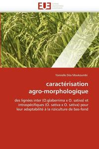 bokomslag Caract risation Agro-Morphologique