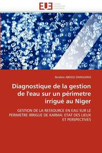 bokomslag Diagnostique de la Gestion de l''eau Sur Un P?rimetre Irrigu? Au Niger