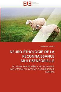 bokomslag Neuro- thologie de la Reconnaissance Multisensorielle