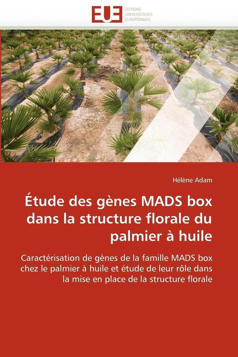 tude Des G nes Mads Box Dans La Structure Florale Du Palmier   Huile 1