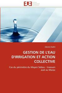 bokomslag Gestion de l''eau d''irrigation Et Action Collective