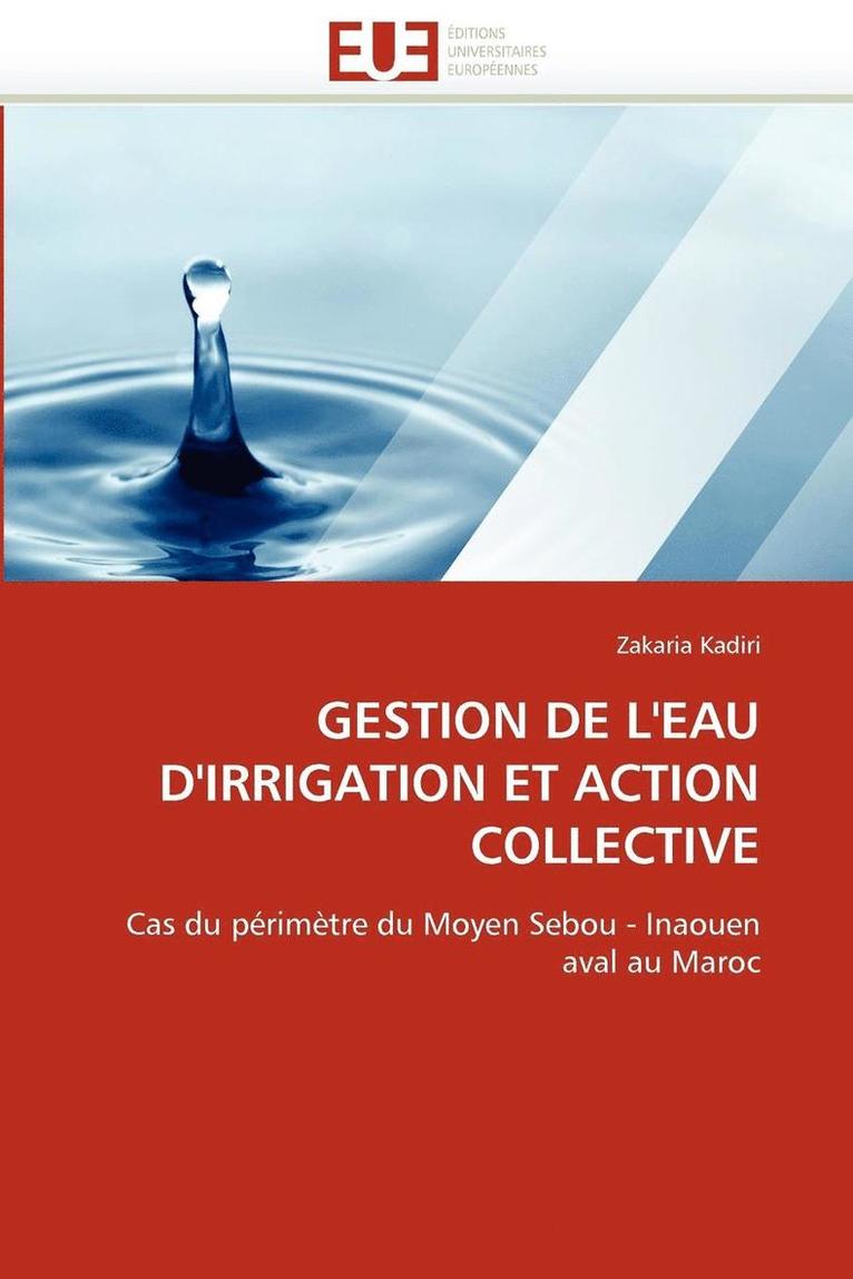 Gestion de l''eau d''irrigation Et Action Collective 1