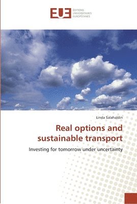 Real options and sustainable transport 1