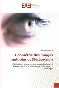 bokomslag Geometrie des images multiples et stereovision