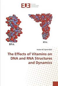 bokomslag The Effects of Vitamins on DNA and RNA Structures and Dynamics