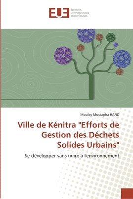 bokomslag Ville de kénitra efforts de gestion des déchets solides urbains