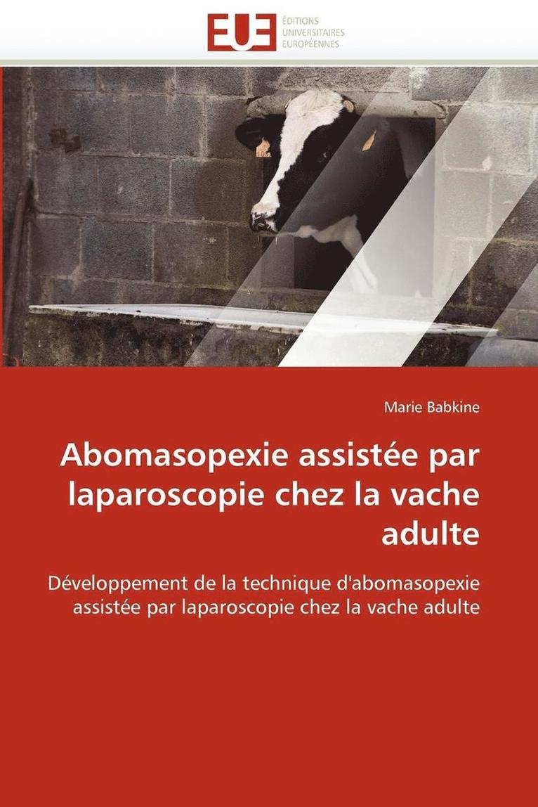 Abomasopexie Assist e Par Laparoscopie Chez La Vache Adulte 1