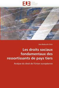 bokomslag Les Droits Sociaux Fondamentaux Des Ressortissants de Pays Tiers