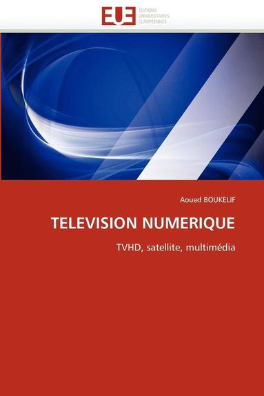 bokomslag Television Numerique