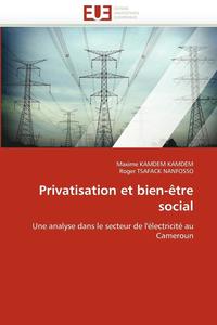bokomslag Privatisation Et Bien- tre Social