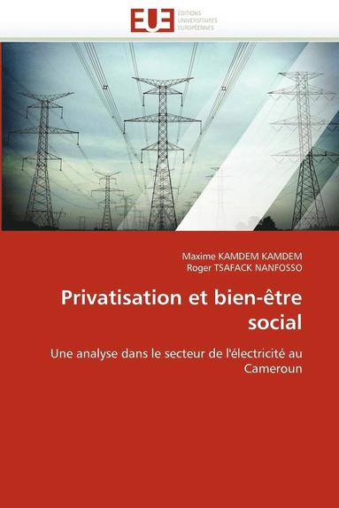 bokomslag Privatisation Et Bien-?tre Social
