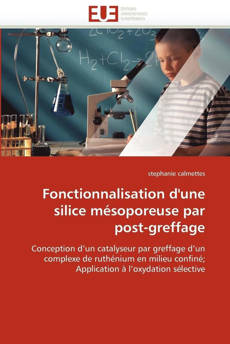 Calmettes-S, CALMETTES-s, Stephanie Calmettes - Fonctionnalisation d''une Silice M�soporeuse Par Post-Greffage, Häftad