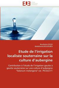 bokomslag Etude de l''irrigation localisée souterraine sur la culture d''aubergine