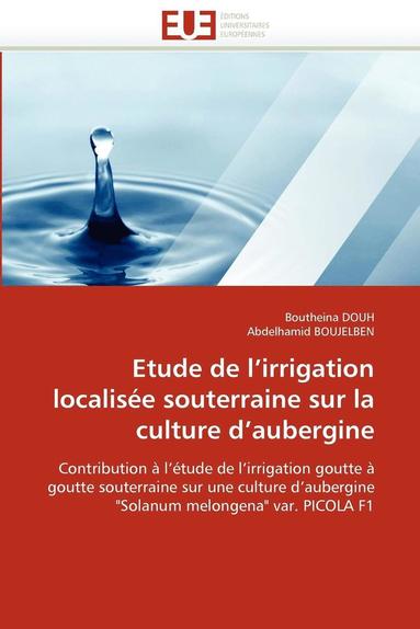 bokomslag Etude de l''irrigation Localis?e Souterraine Sur La Culture d''aubergine