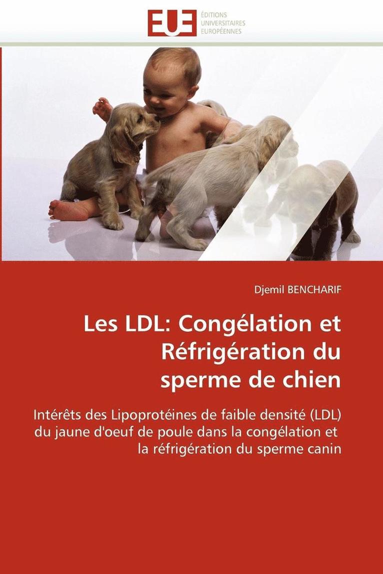 Les LDL 1