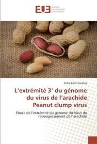 bokomslag L extremite 3 du genome du virus de l arachide peanut clump virus