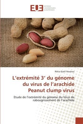 bokomslag L extrémité 3 du génome du virus de l arachide peanut clump virus