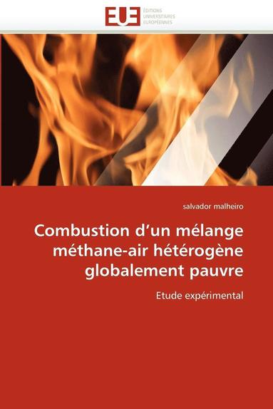 bokomslag Combustion d''un M?lange M?thane-Air H?t?rog?ne Globalement Pauvre