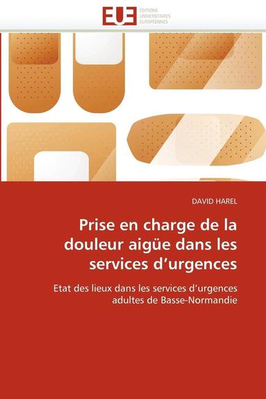bokomslag Prise en charge de la douleur aigüe dans les services d''urgences