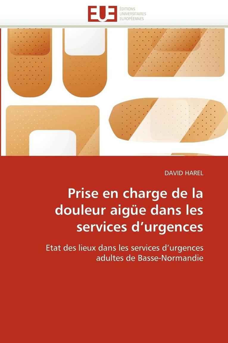 Harel-D, TBD, David Harel - Prise en charge de la douleur aigüe dans les services d''urgences, Häftad