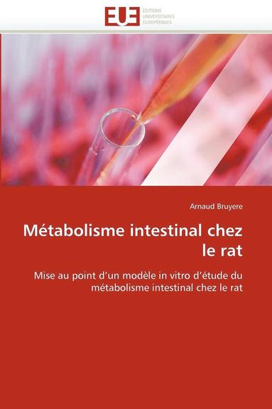 bokomslag Métabolisme intestinal chez le rat