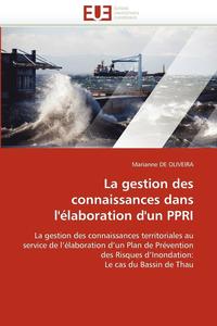 bokomslag gestion des connaissances dans l''élaboration d''un ppri