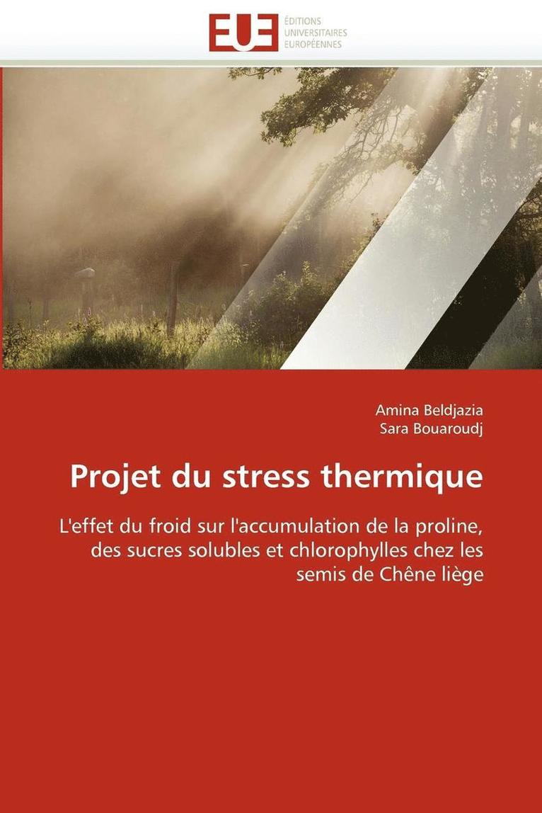 Projet Du Stress Thermique 1