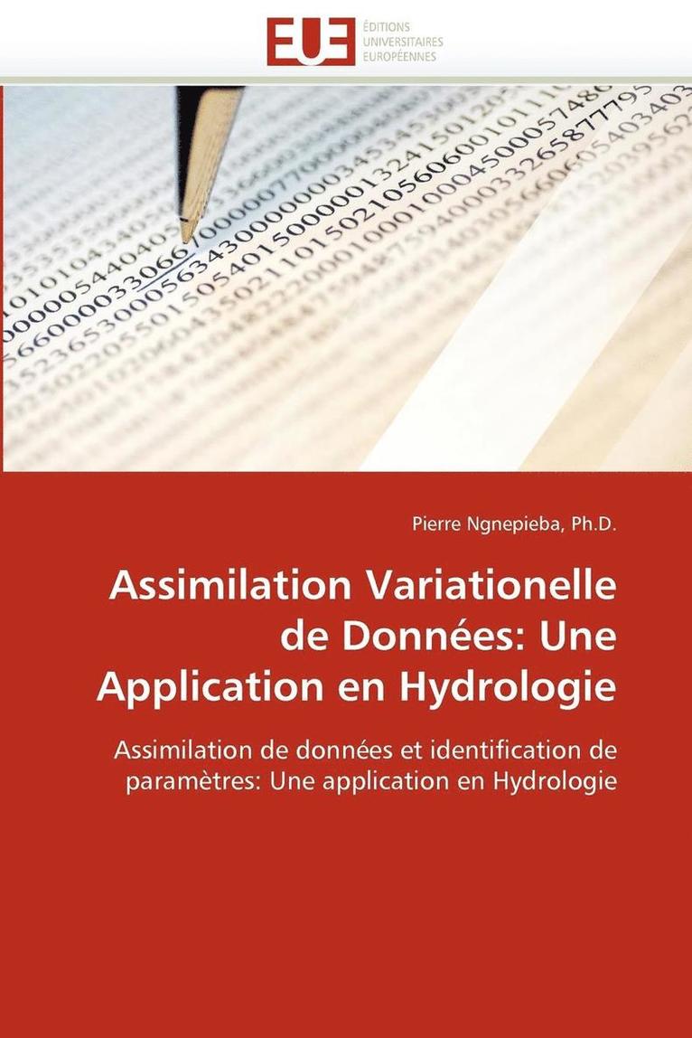 Ph D -P Ngnepieba, Ph. D. -P Ngnepieba, PH.D.-P NGNEPIEBA, Ngnepieba - Assimilation Variationelle de Donn�es, Häftad