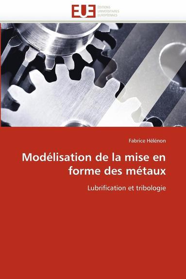 bokomslag Mod lisation de la Mise En Forme Des M taux