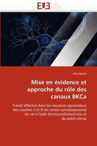 bokomslag Mise en évidence et approche du rôle des canaux bkca