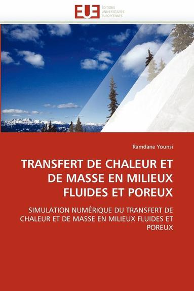 bokomslag Transfert de Chaleur Et de Masse En Milieux Fluides Et Poreux