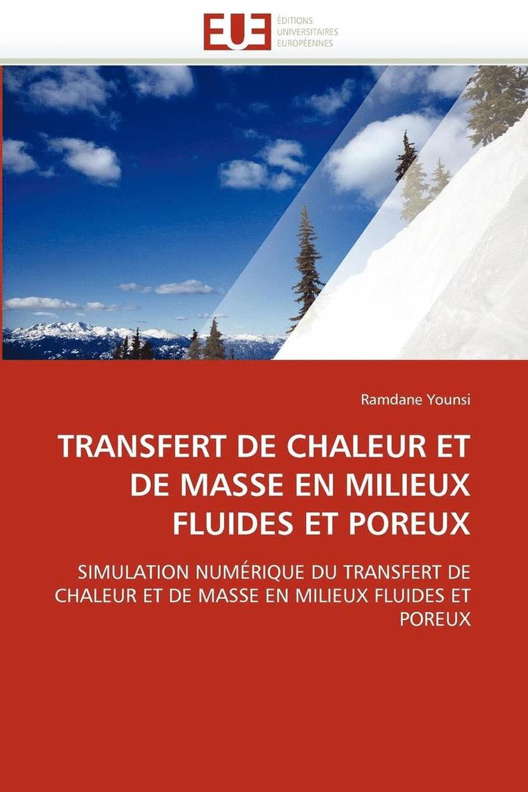 Younsi-R, TBD, Ramdane Younsi - Transfert de chaleur et de masse en milieux fluides et poreux, Häftad