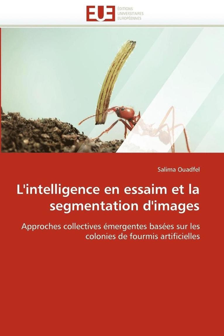 L''intelligence En Essaim Et La Segmentation d''images 1