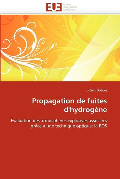 bokomslag Propagation de Fuites d''hydrog ne