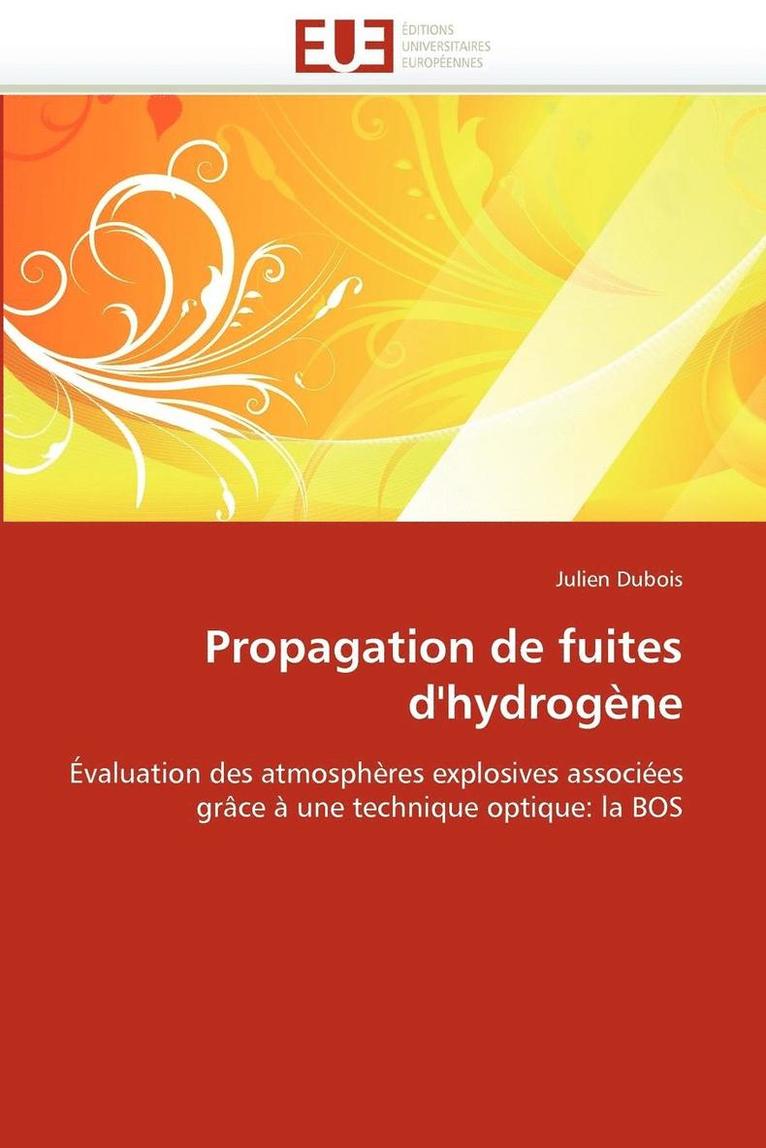 DuBois-J, TBD, Julien Dubois - Propagation de fuites d''hydrogène, Häftad