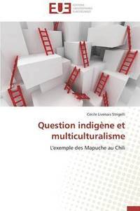 bokomslag Question Indig ne Et Multiculturalisme
