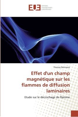 bokomslag Effet d''un champ magnetique sur les flammes de diffusion laminaires