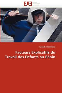 bokomslag Facteurs Explicatifs Du Travail Des Enfants Au B nin