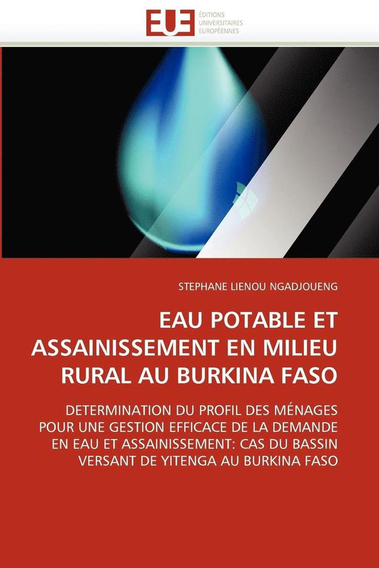 EAU POTABLE ET ASSAINISSEMENT EN MILIEU RURAL AU BURKINA FASO